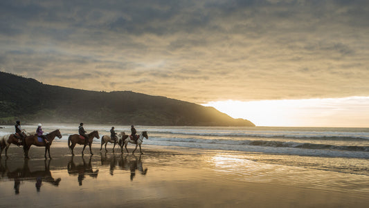 Ahipara Horse Trekking