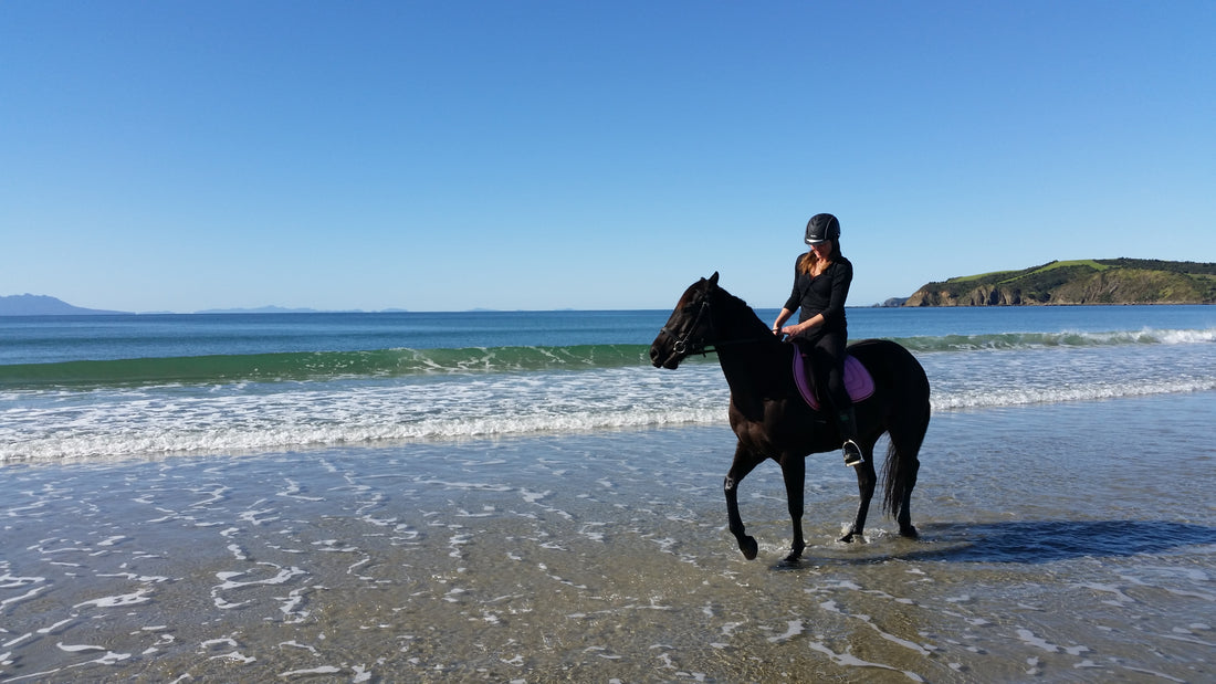 Horse Riding in Auckland - Find places to ride