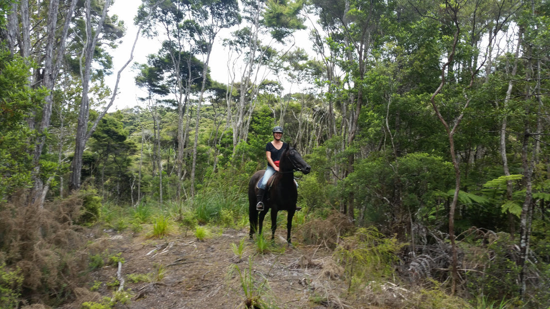 Ti Tree Horses BYO Horse Trails