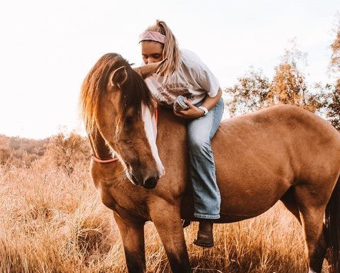 Meet @golden.gallops