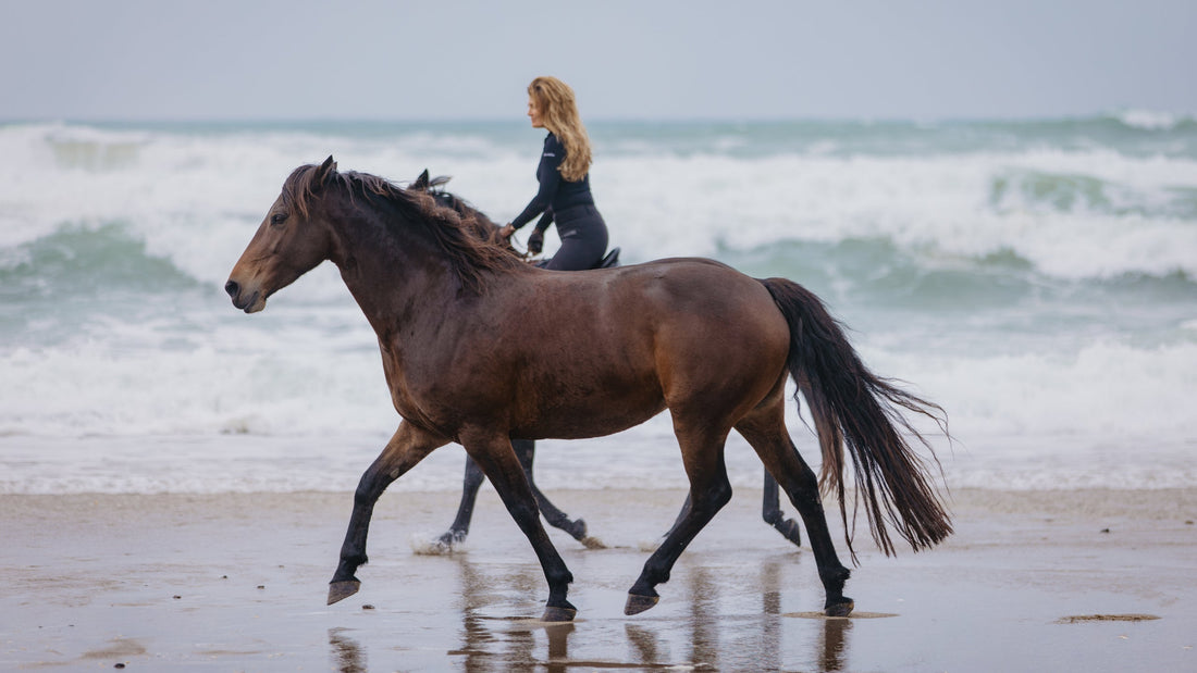 Rainy days are beautiful ... with horses!