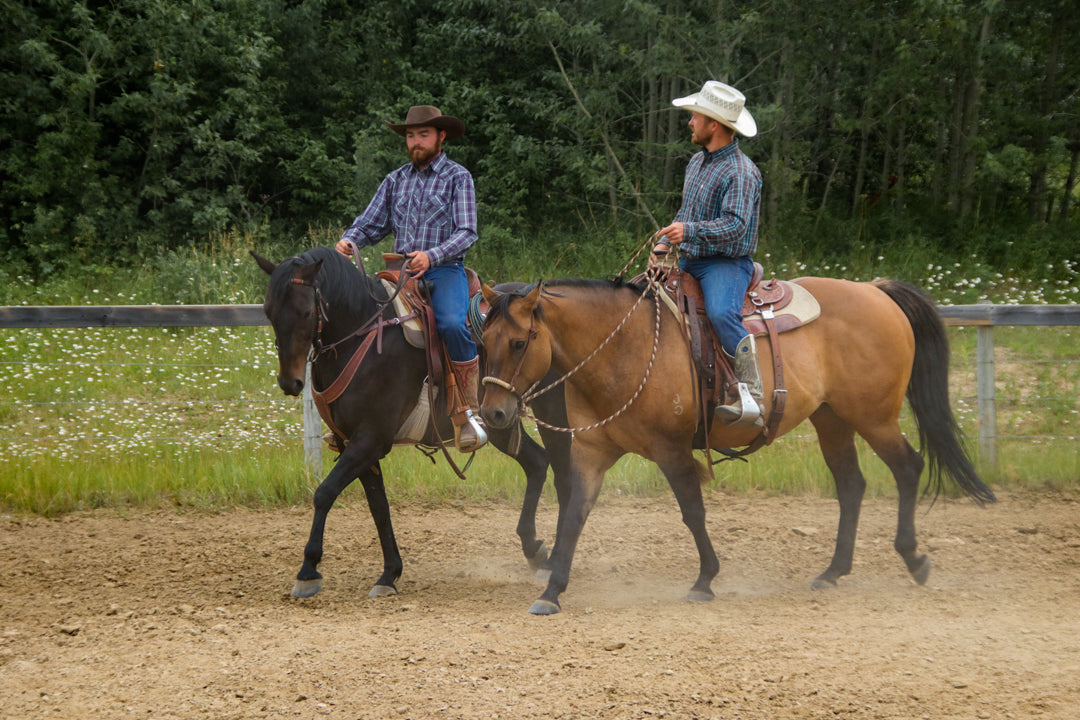 Josh Nichol Horsemanship Clinics in New Zealand Oct 2026