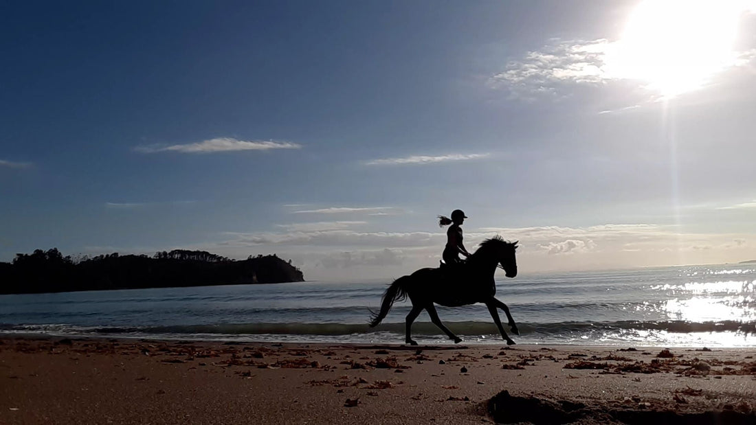 New Zealand’s most incredible horse treks
