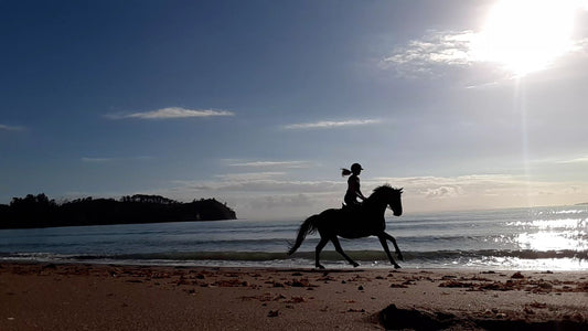 New Zealand’s most incredible horse treks
