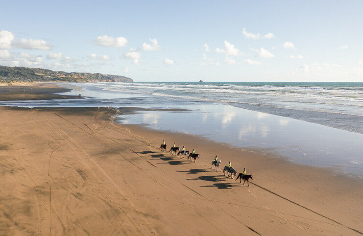 Muriwai Beach Horse Treks, Auckland